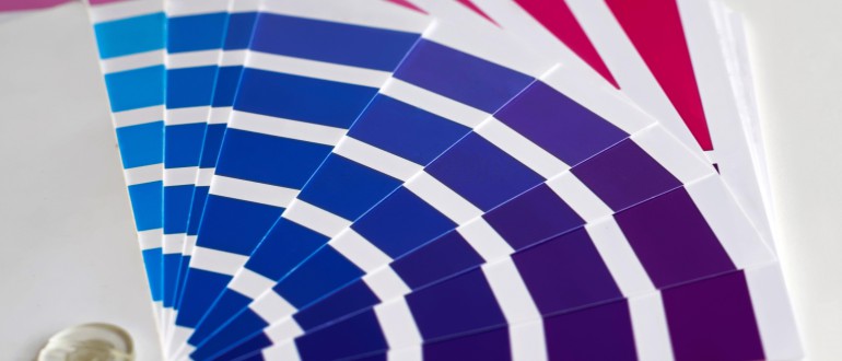 Color Palette